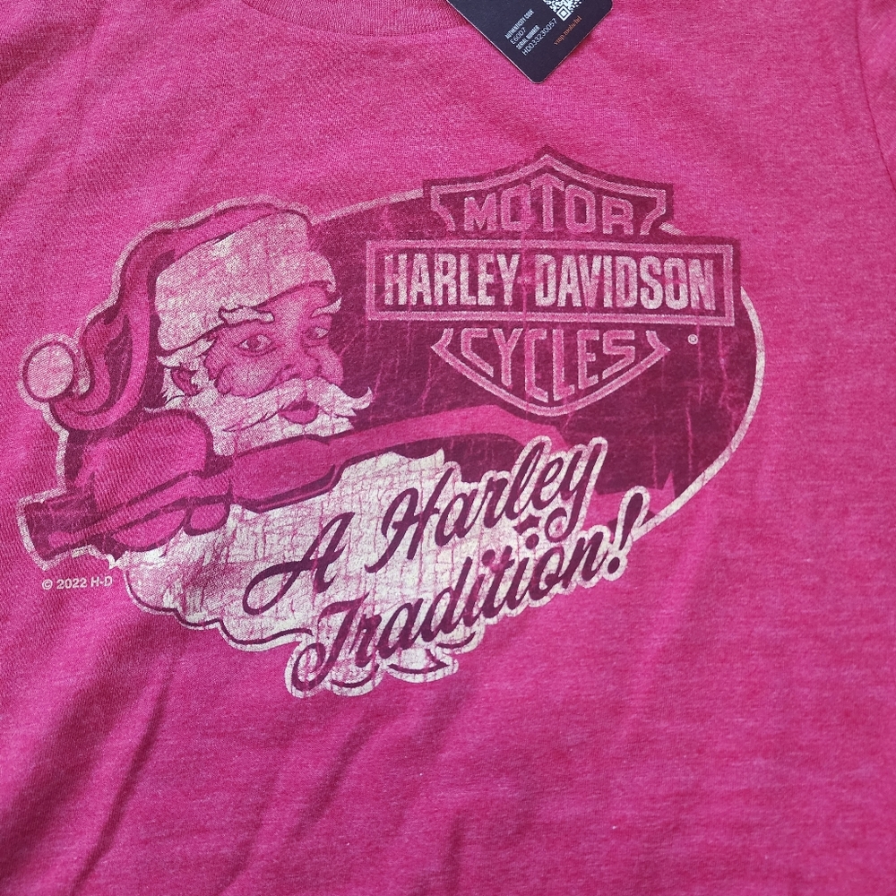 Harley Davidson Wasilla Alaska Denali Womens T-shirt